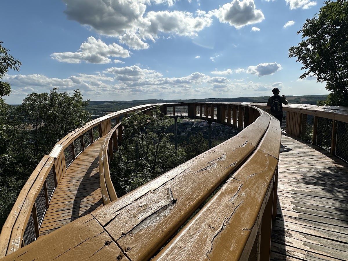 Pannonhalmi Lombkorona Tanösvény