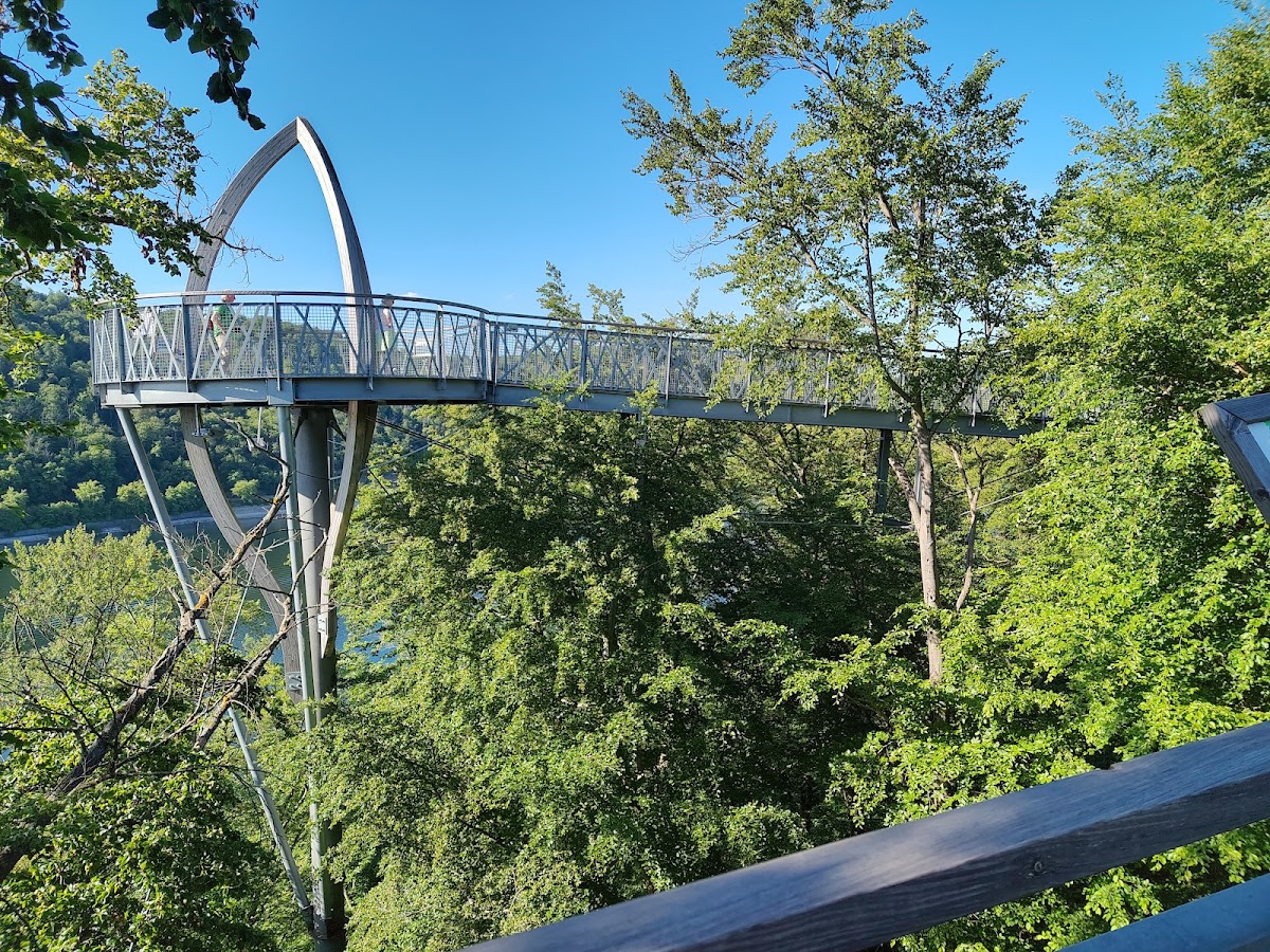 TreeTopWalk – Baumkronenweg am Edersee