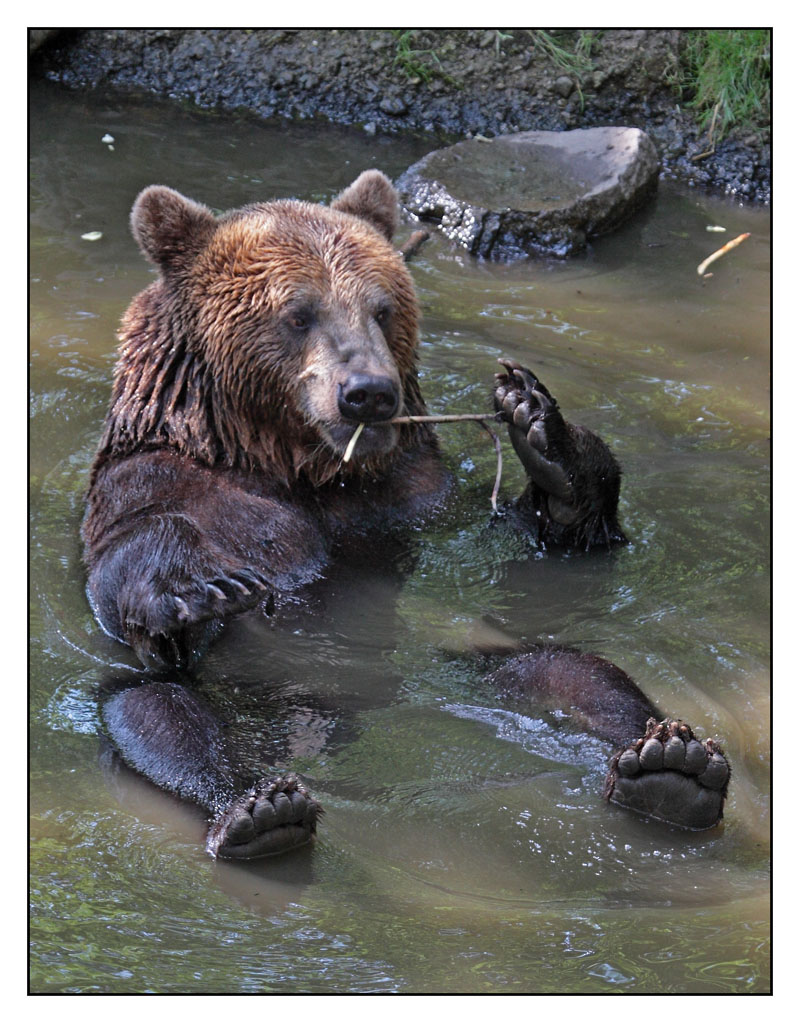 Wildpark Knüll
