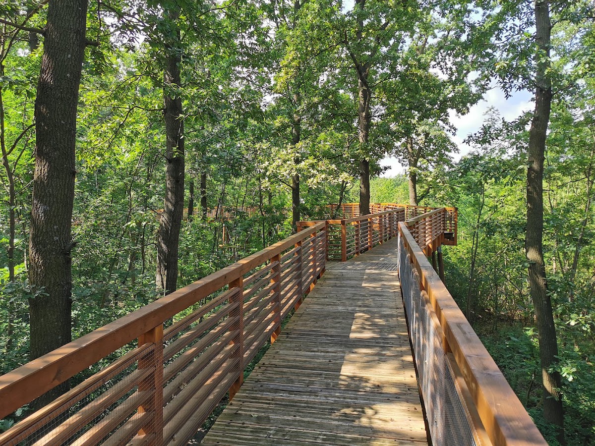 Baumkronenweg Karcag (Karcagi Lombkorona Sétány)