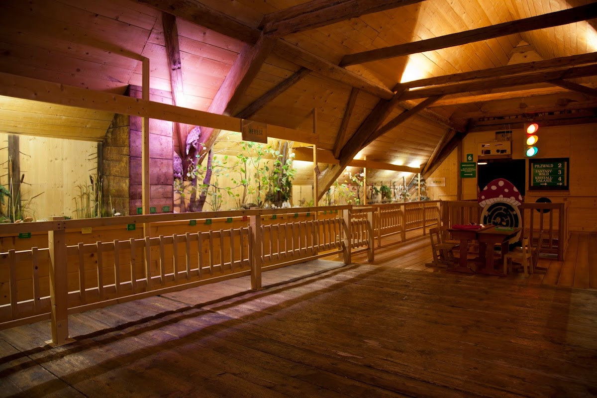 Pilz- & Puppen-Museum