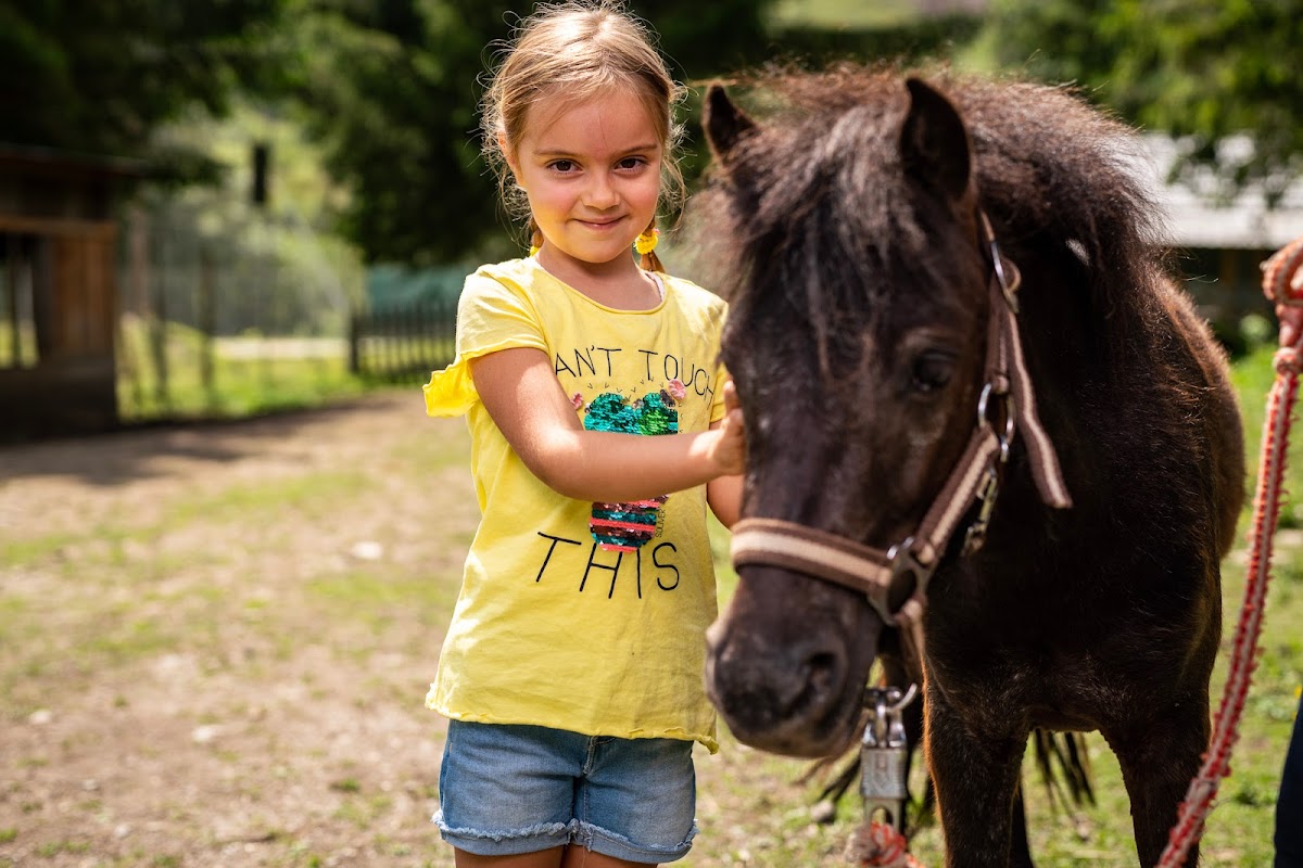 Trattlers Ponyfarm
