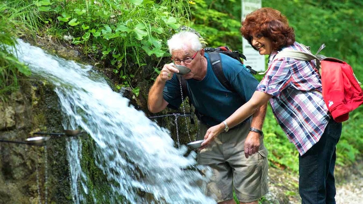 Tscheppaschlucht Ferlach
