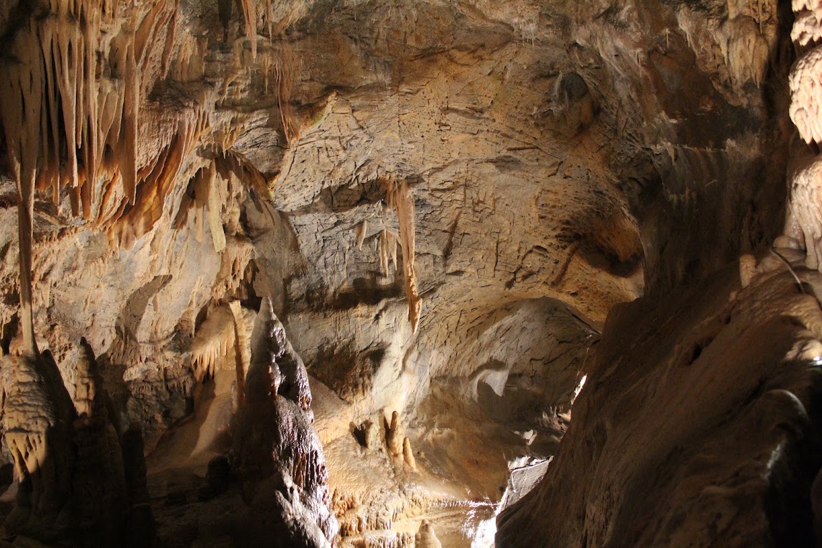 Toirano-Höhlen (Grotte di Toirano)