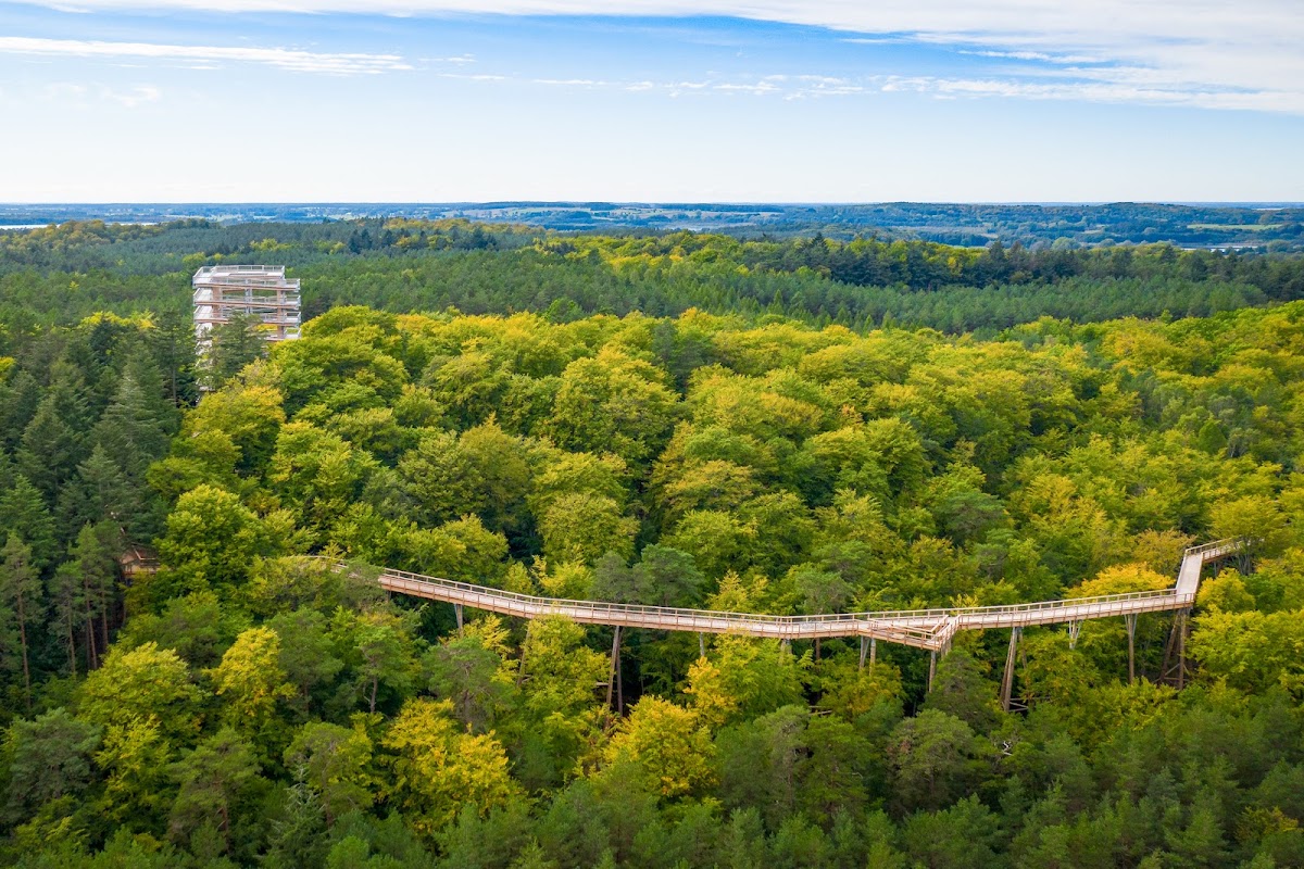 Baumwipfelpfad Usedom