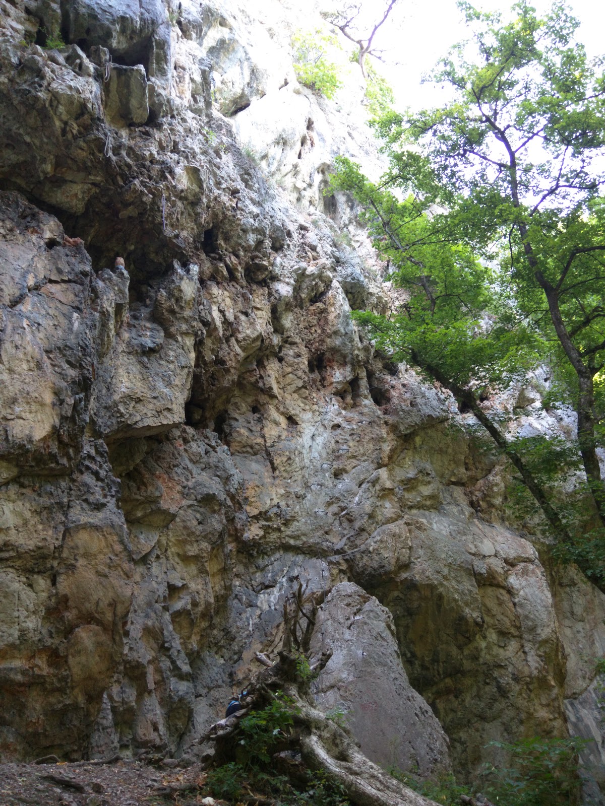 Einhorn-Tropfsteinhöhle Dreistetten