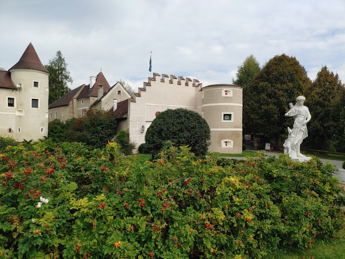 Greifvogelzentrum Schloss Waldreichs