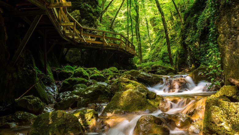 Johannesbachklamm Würflach