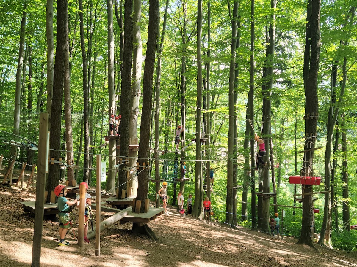Kletterpark Purkersdorf