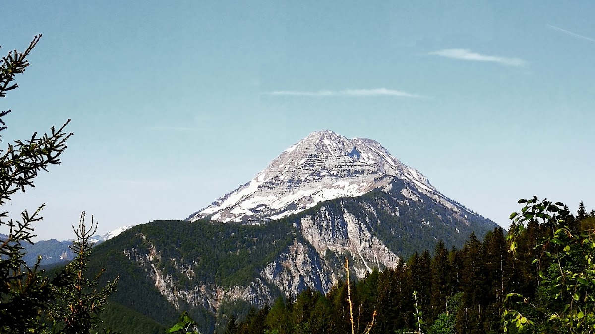 Naturpark Ötscher-Tormäuer mit Hängebrücke und wildem Wasser