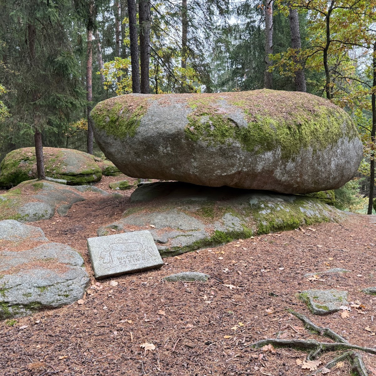 Naturpark Blockheide