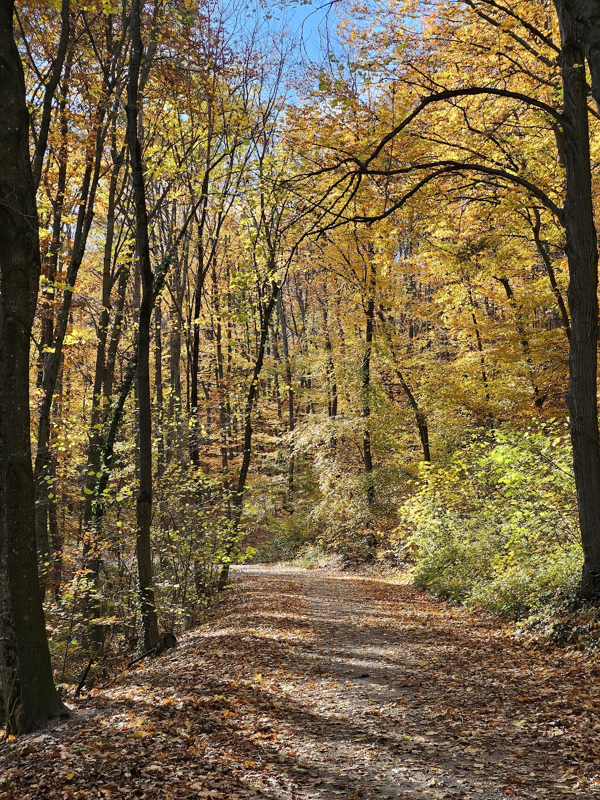 Naturpark Föhrenberge