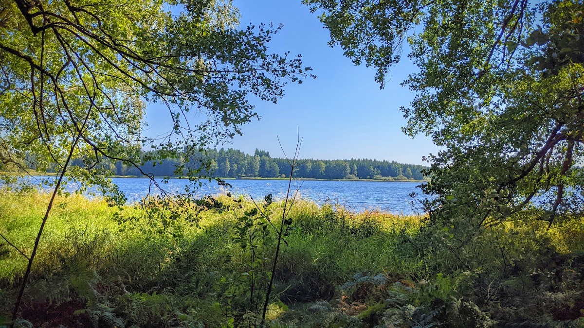 Naturpark Heidenreichsteiner Moor
