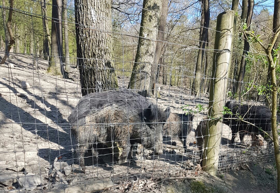 Naturparkzentrum Purkersdorf