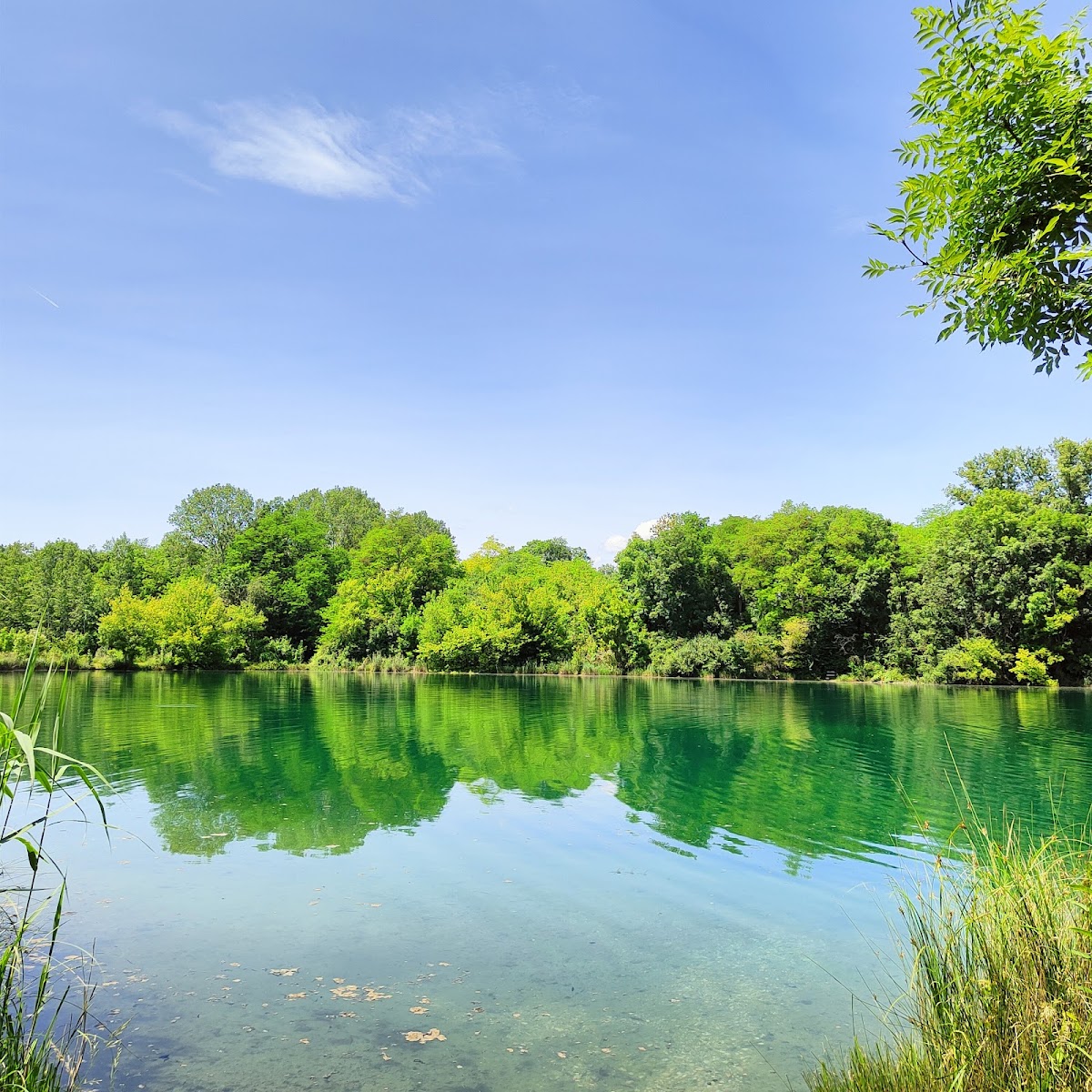 Natursee Traismauer