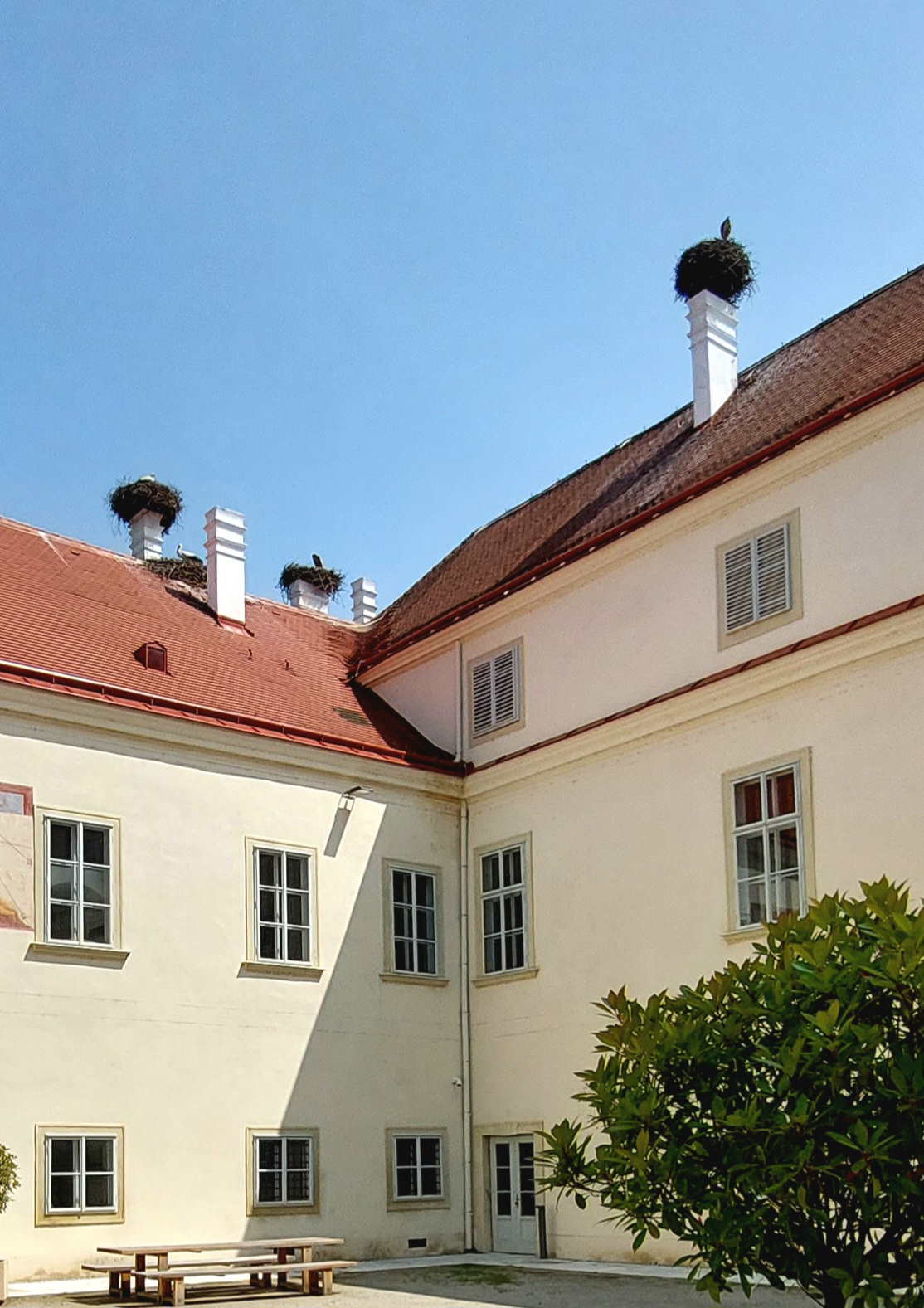 Storchenhaus Marchegg