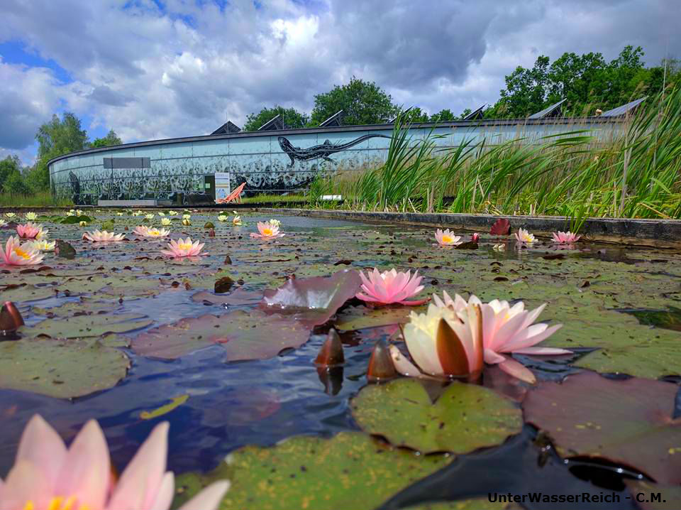 UnterWasserReich Schrems