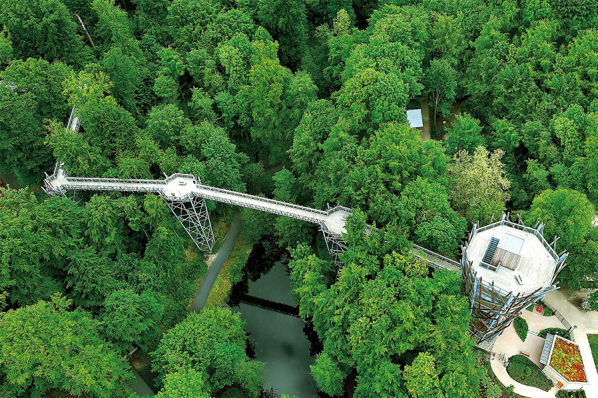 Baumwipfelpfad Bad Iburg