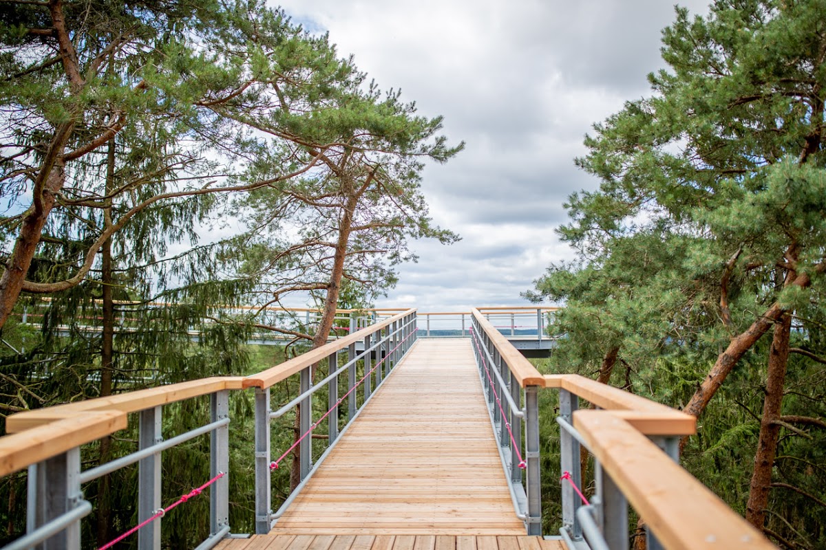 Baumwipfelpfad Heide Himmel