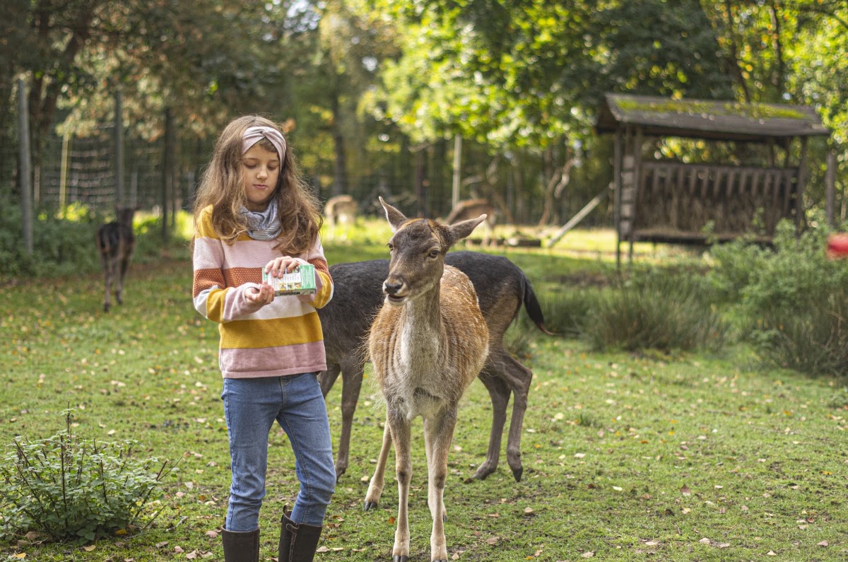 Wildpark Müden