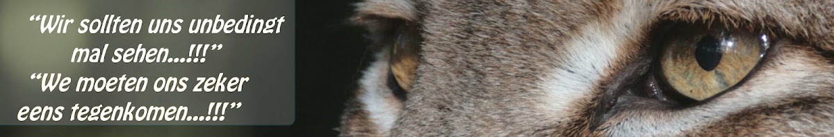 Biotopwildpark Anholter Schweiz