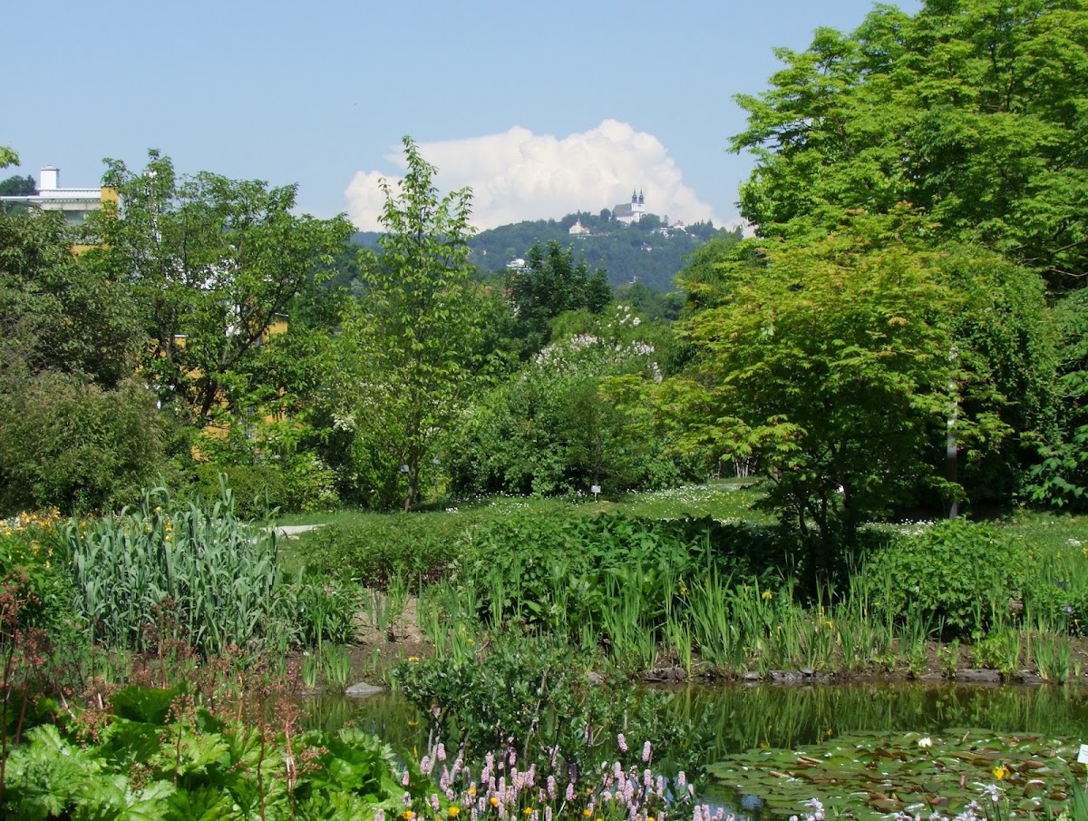 Botanischer Garten Linz