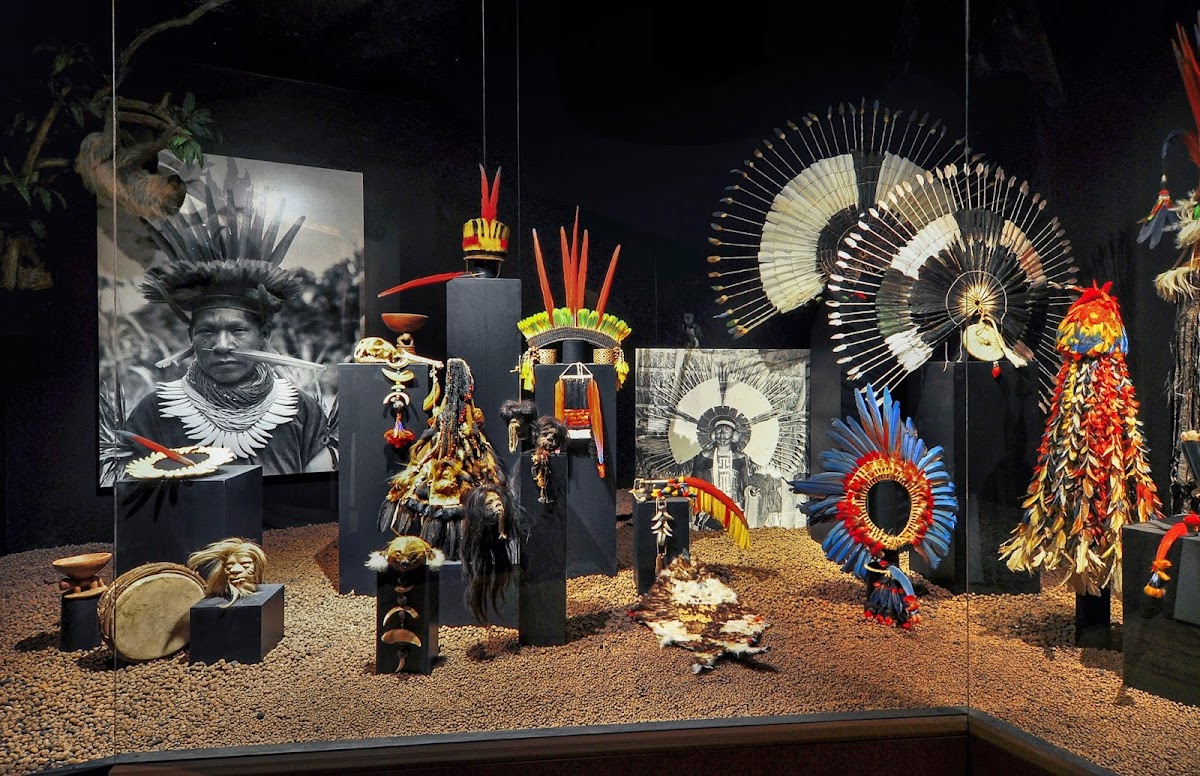 Evolutionsmuseum Schmiding