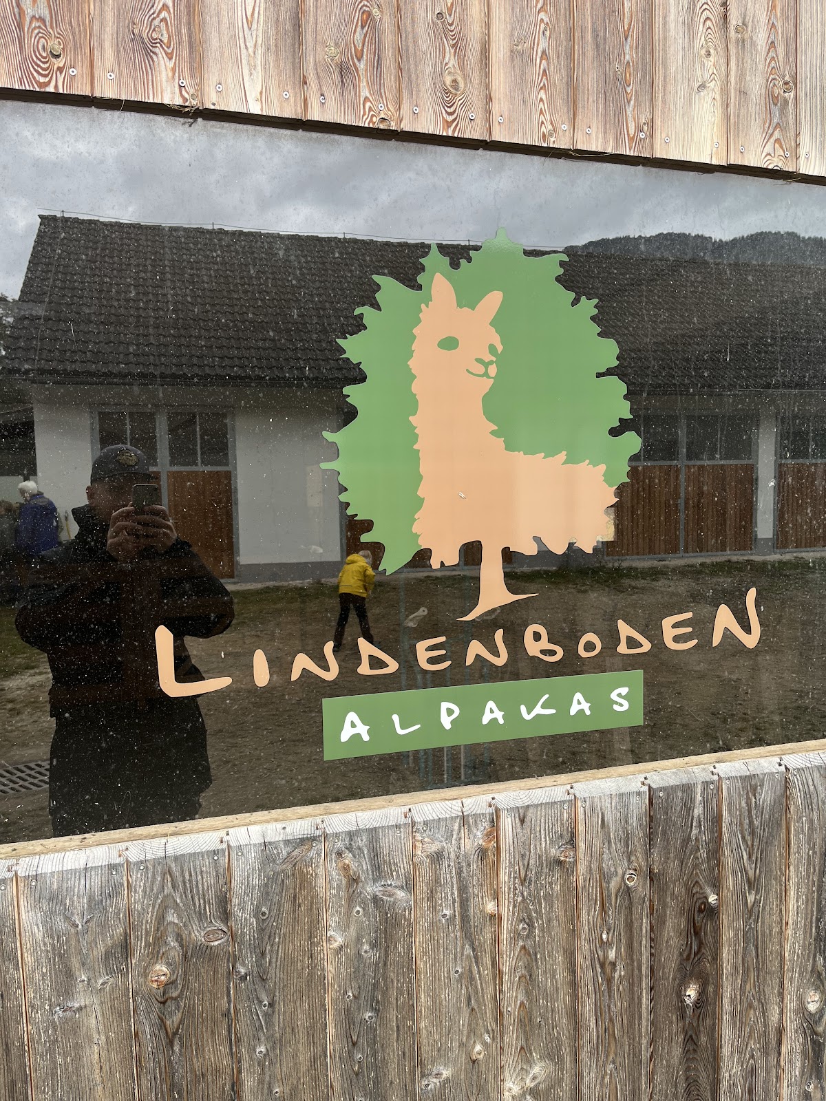 Lindenboden Alpakas