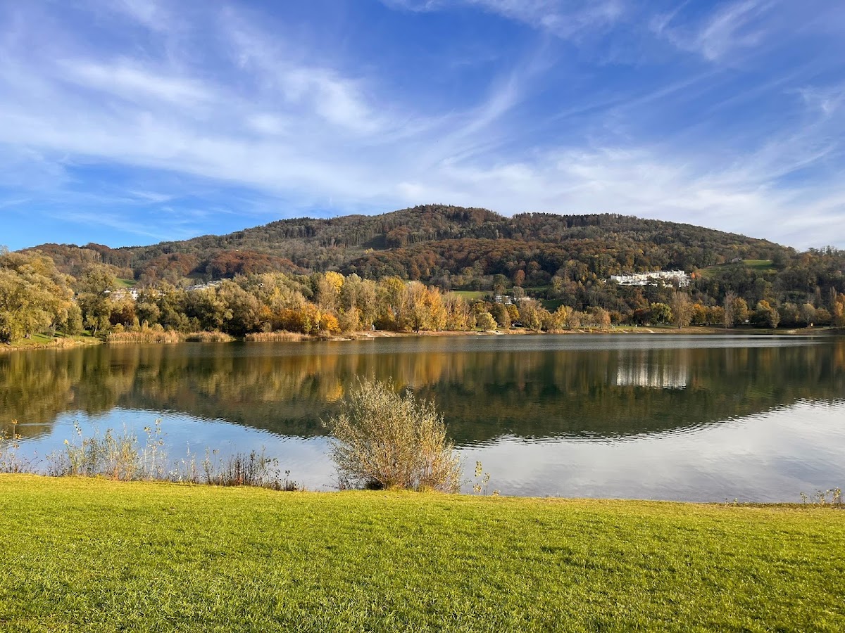 Pleschinger See