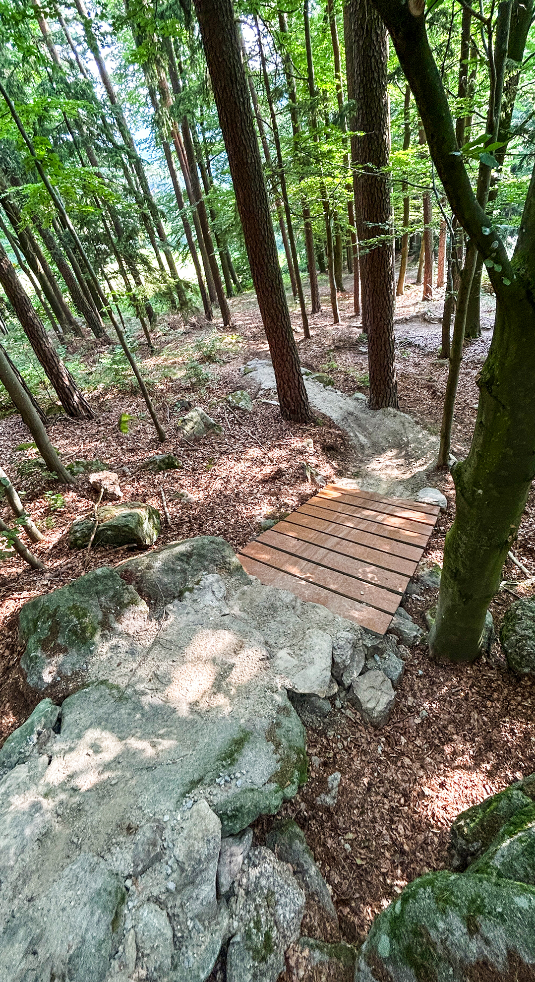 Roadlberg-Trails