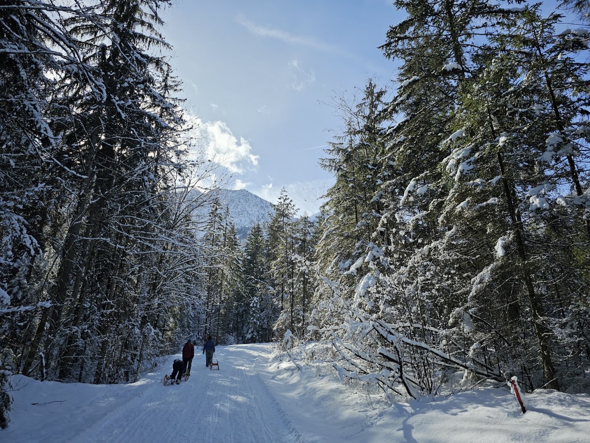 Trockentann-Rodelbahn Bad Goisern