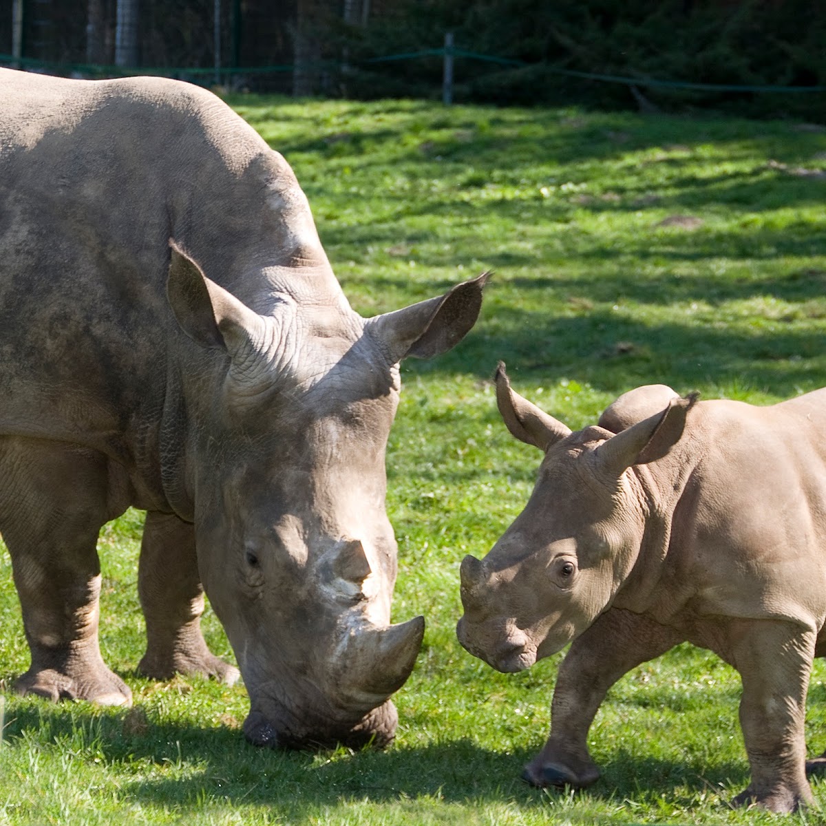 Zoo und Aquazoo Schmiding