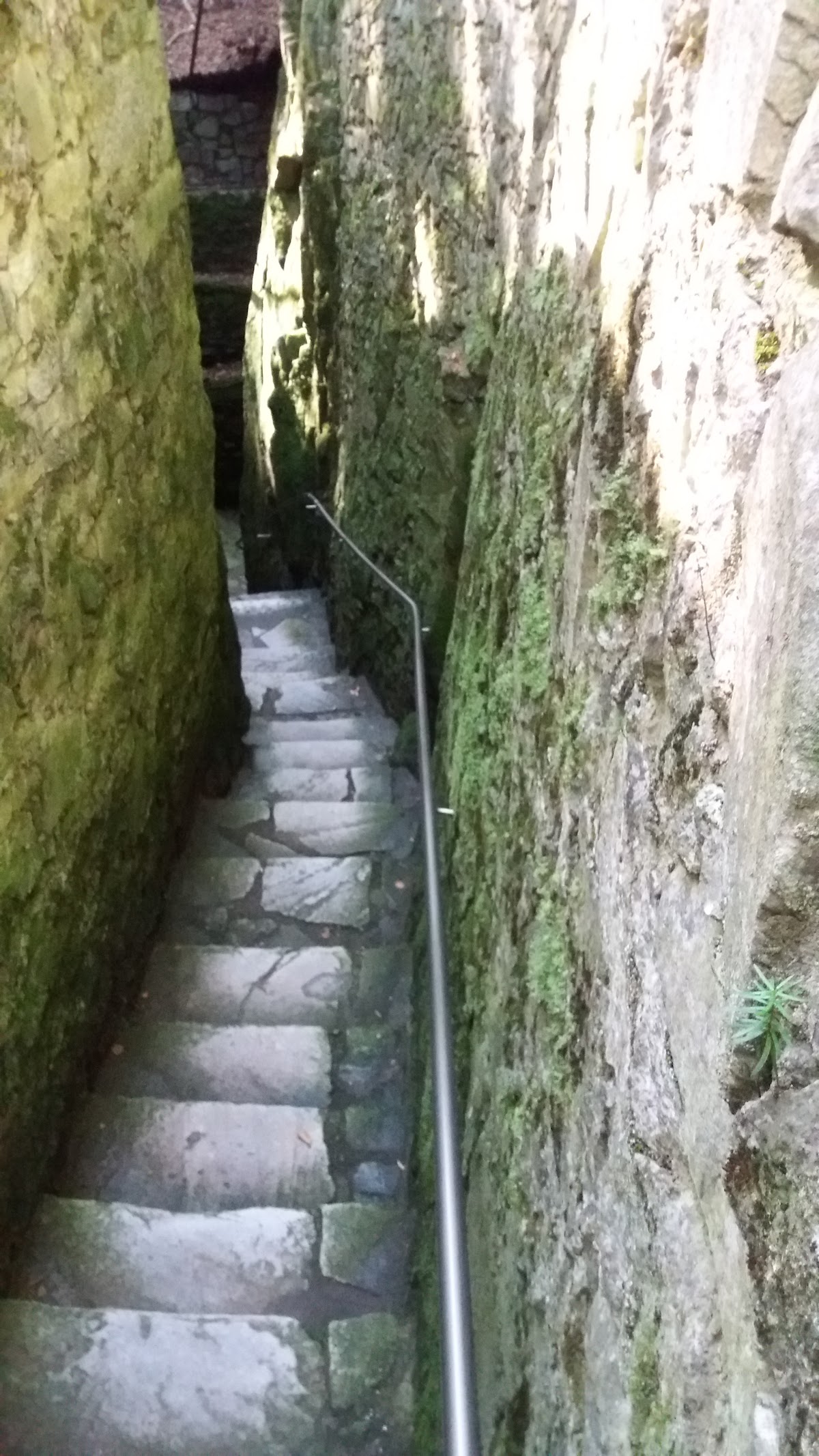 Na-Špičáku-Höhle (Jeskyně Na Špičáku)