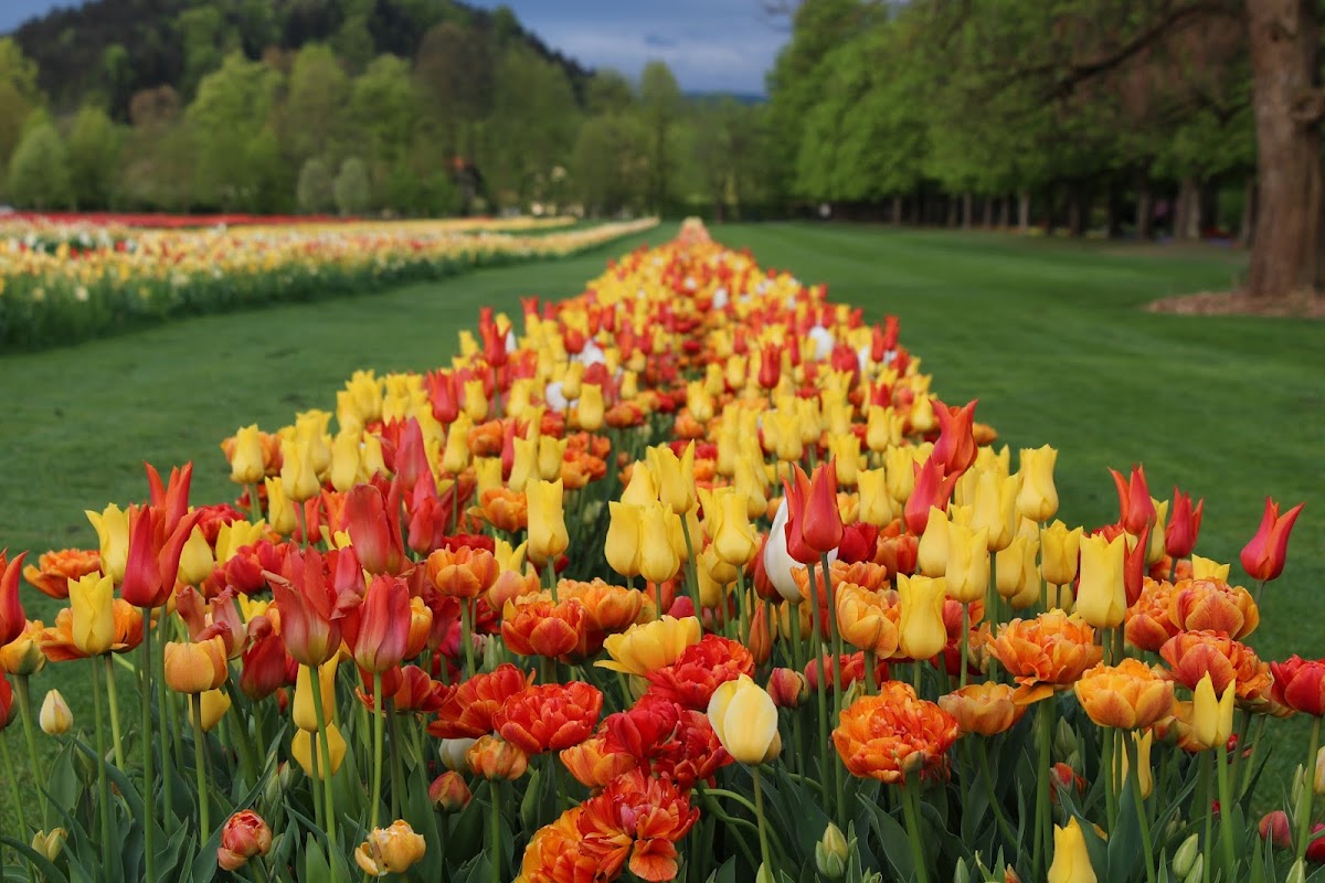 Arboretum Volčji Potok