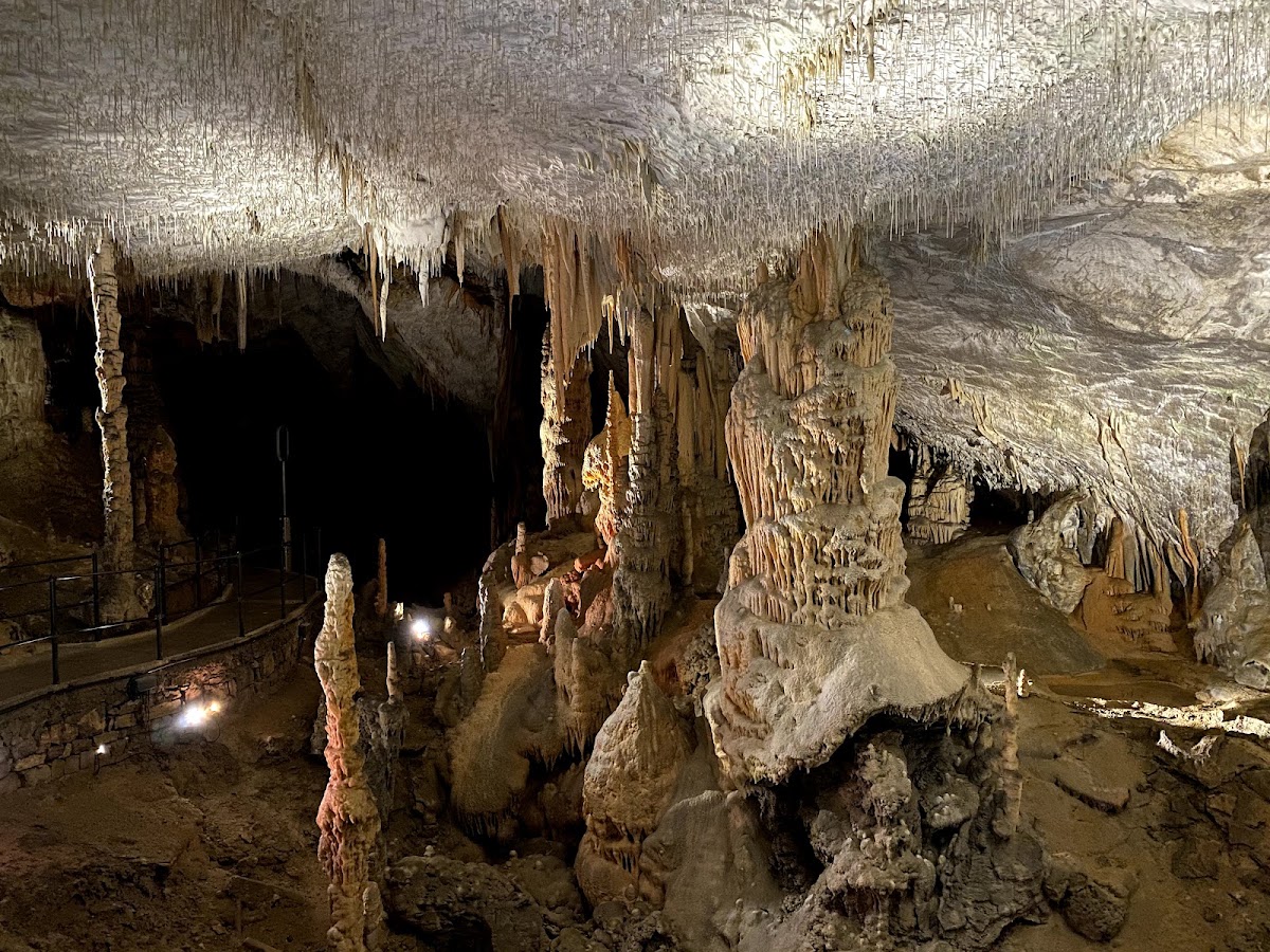 Höhle von Postojna (Postojnska jama)
