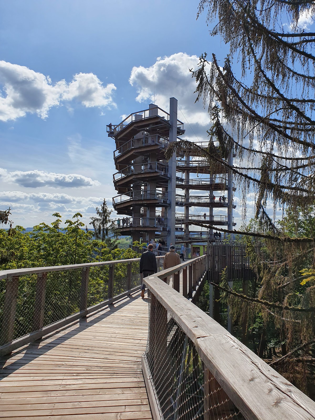 Baumwipfelpfad Saarschleife