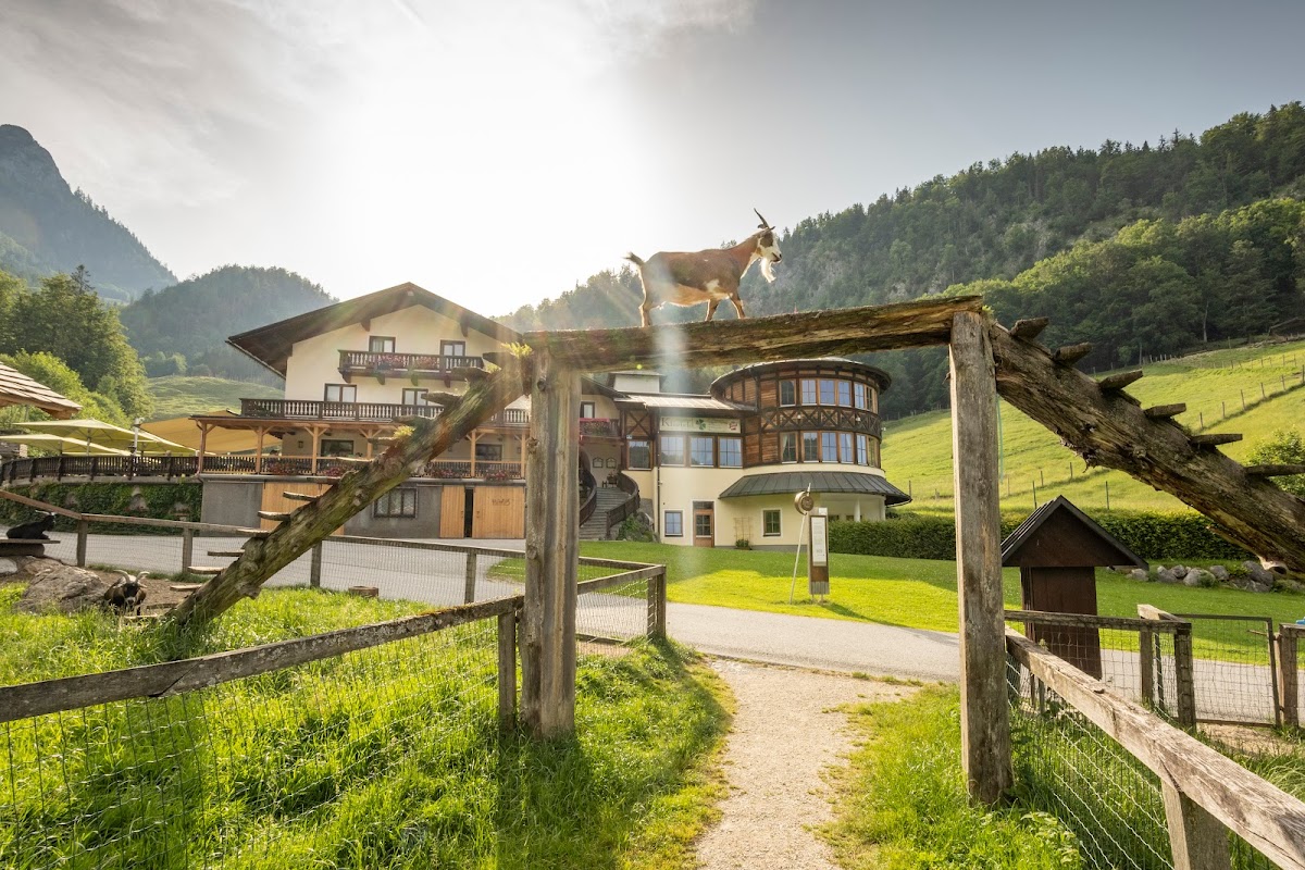 Wildpark Kleefeld
