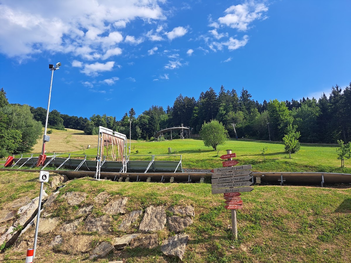 Sommerrodelbahn Celjska koča (Letno sankališče Bob Kart)
