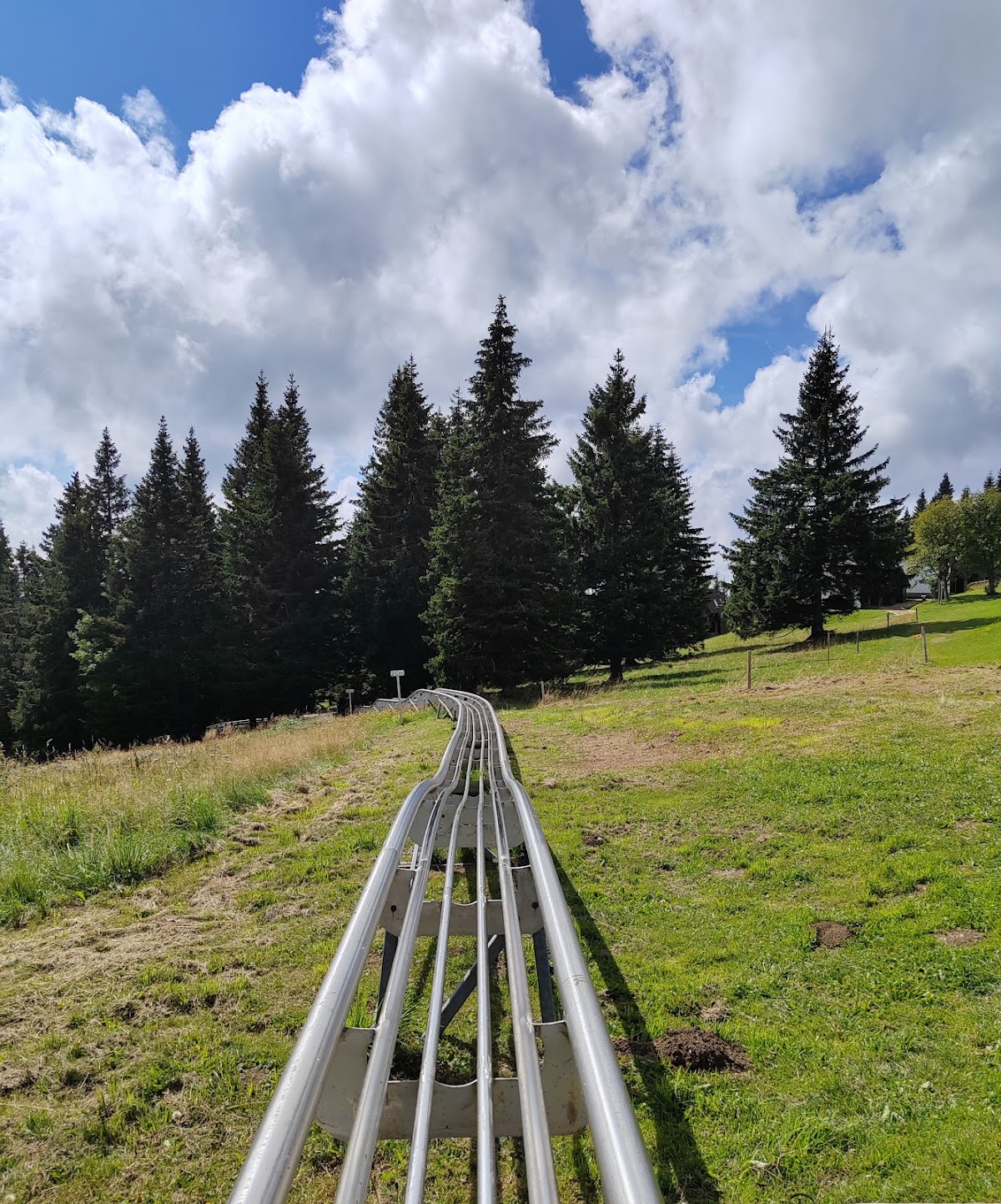 Sommerrodelbahn Zlodejevo Rogla (Adrenalinsko sankališče Zlodejevo)