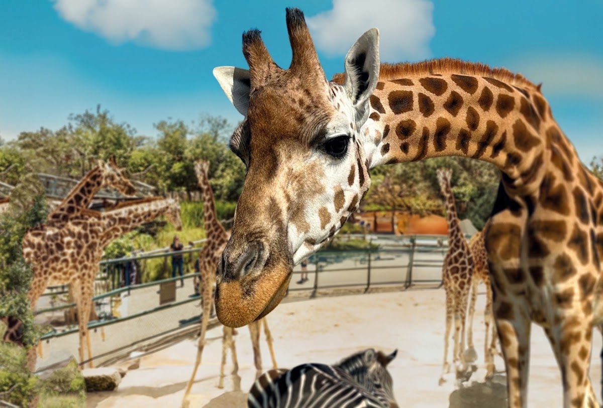 Knies Kinderzoo