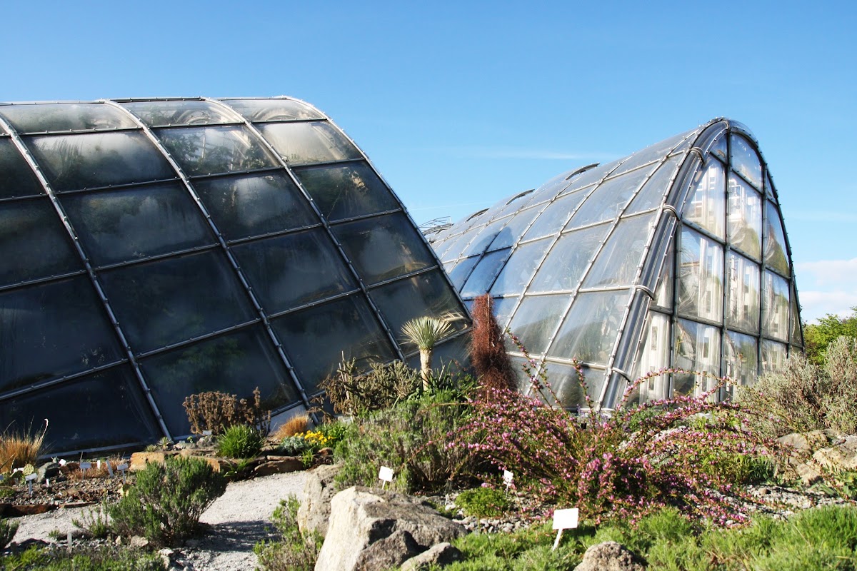 Botanischer Garten der Universität Graz