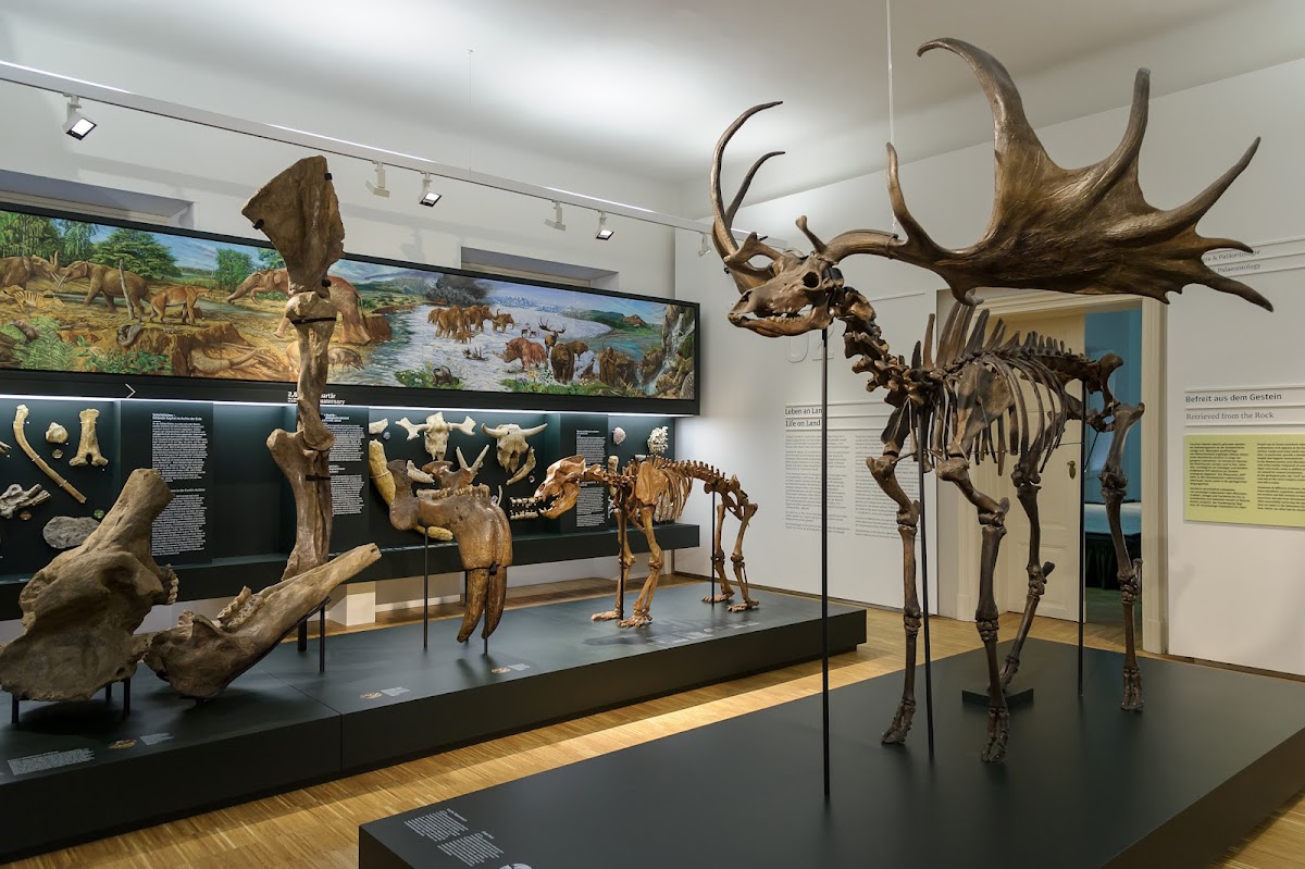 Naturkundemuseum Graz