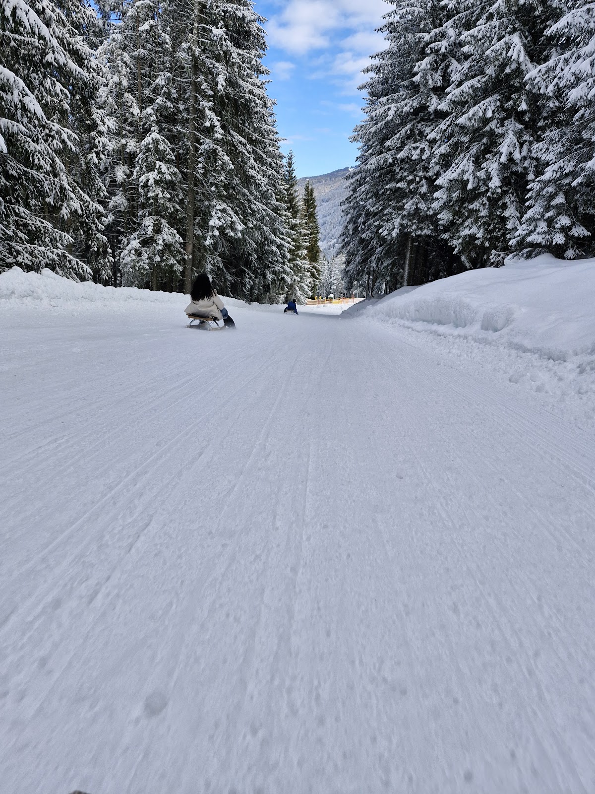 Rodelbahn Hochwurzen