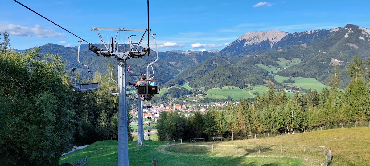 Wiesengleiter am Wilden Berg Mautern