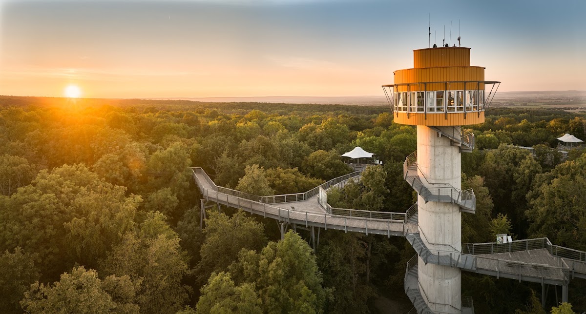Baumkronenpfad im Nationalpark Hainich
