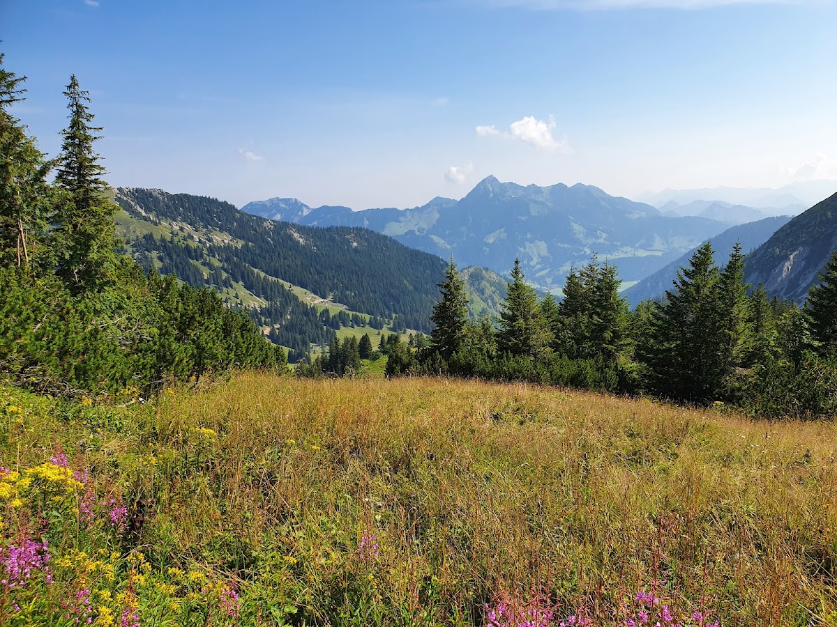 Ackernalm