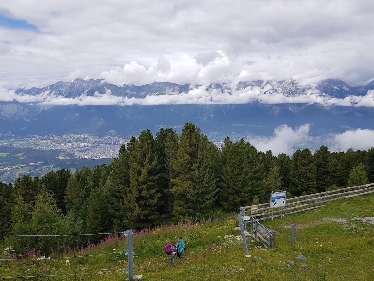 Alpengarten Patscherkofel