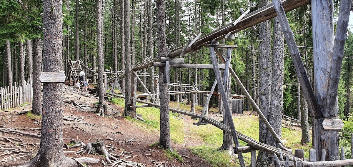 Kugelwald am Glungezer