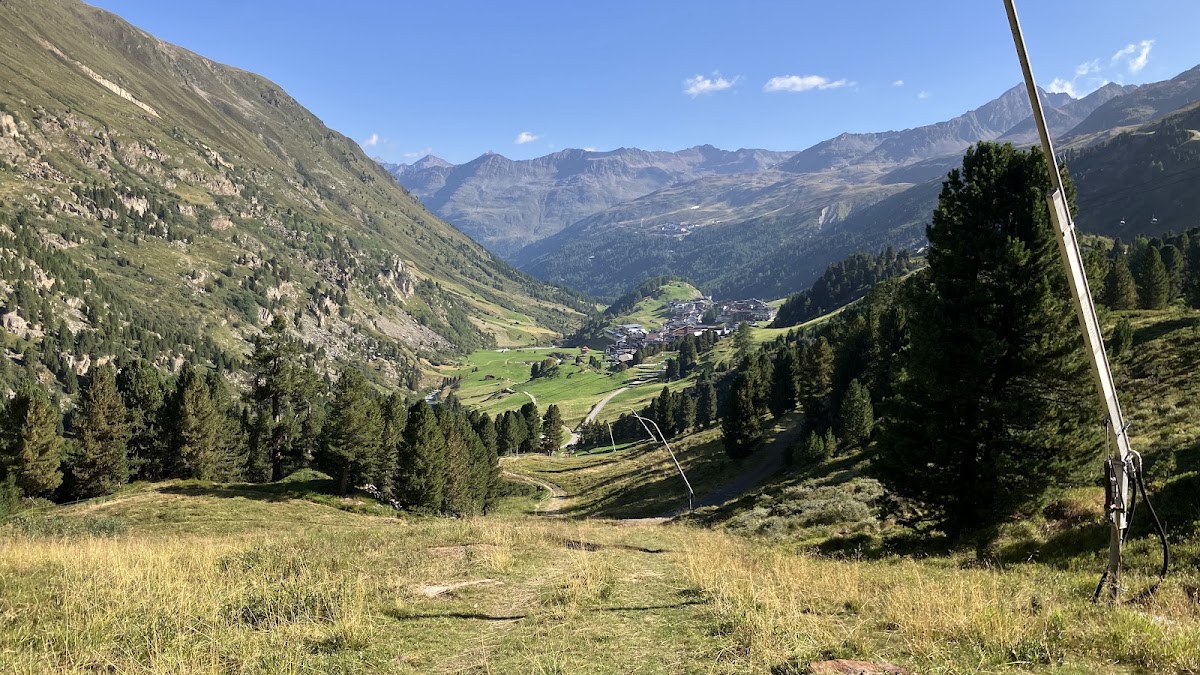 Obergurgler Zirbenwald