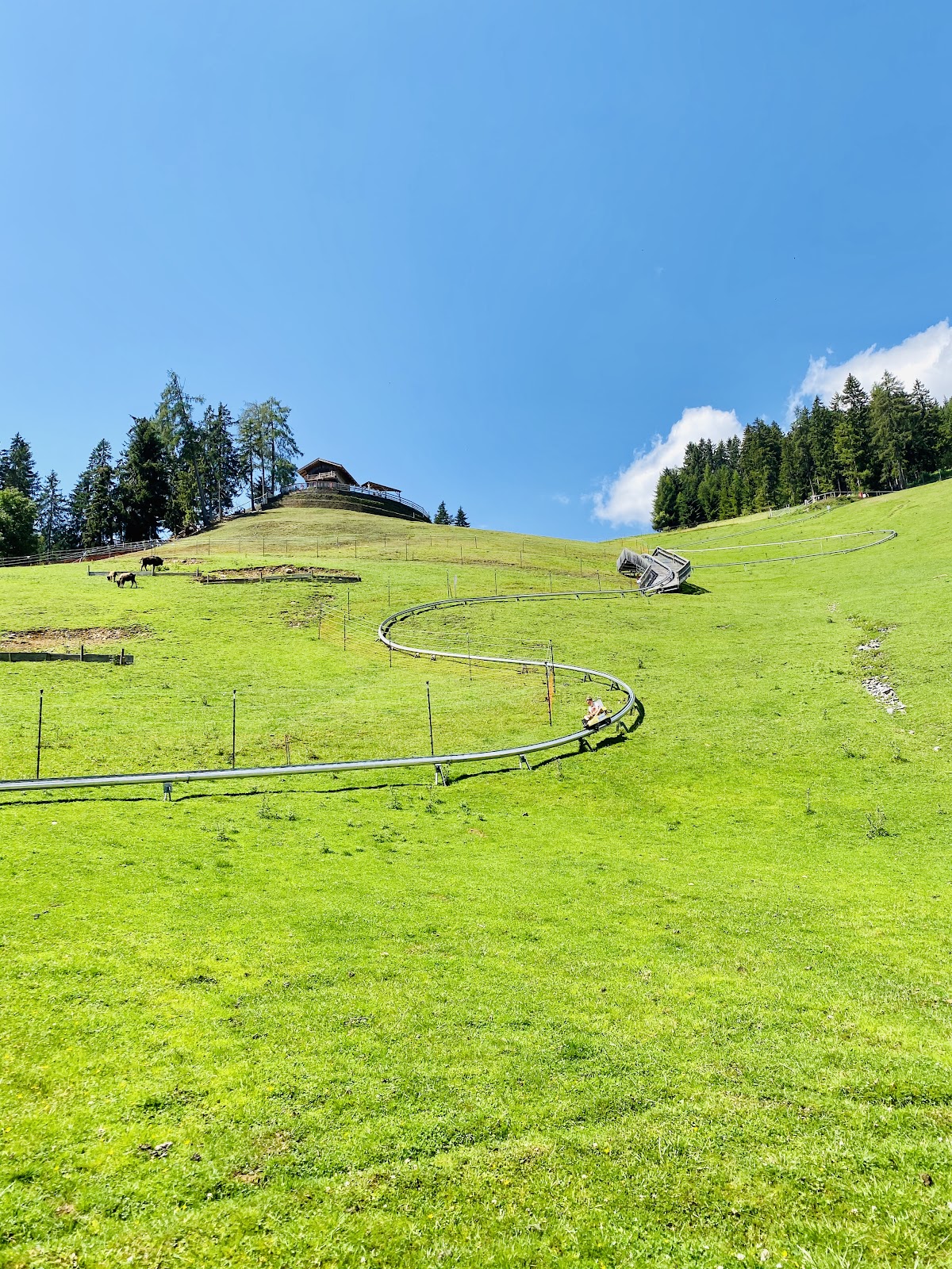 Sommerrodelbahn Erlebniswelt Assling